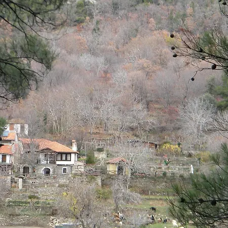 Case de vacanță House Rodia *