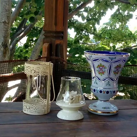 House Rodia Case de vacanță