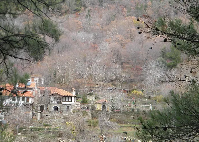 Dom wakacyjny House Rodia *